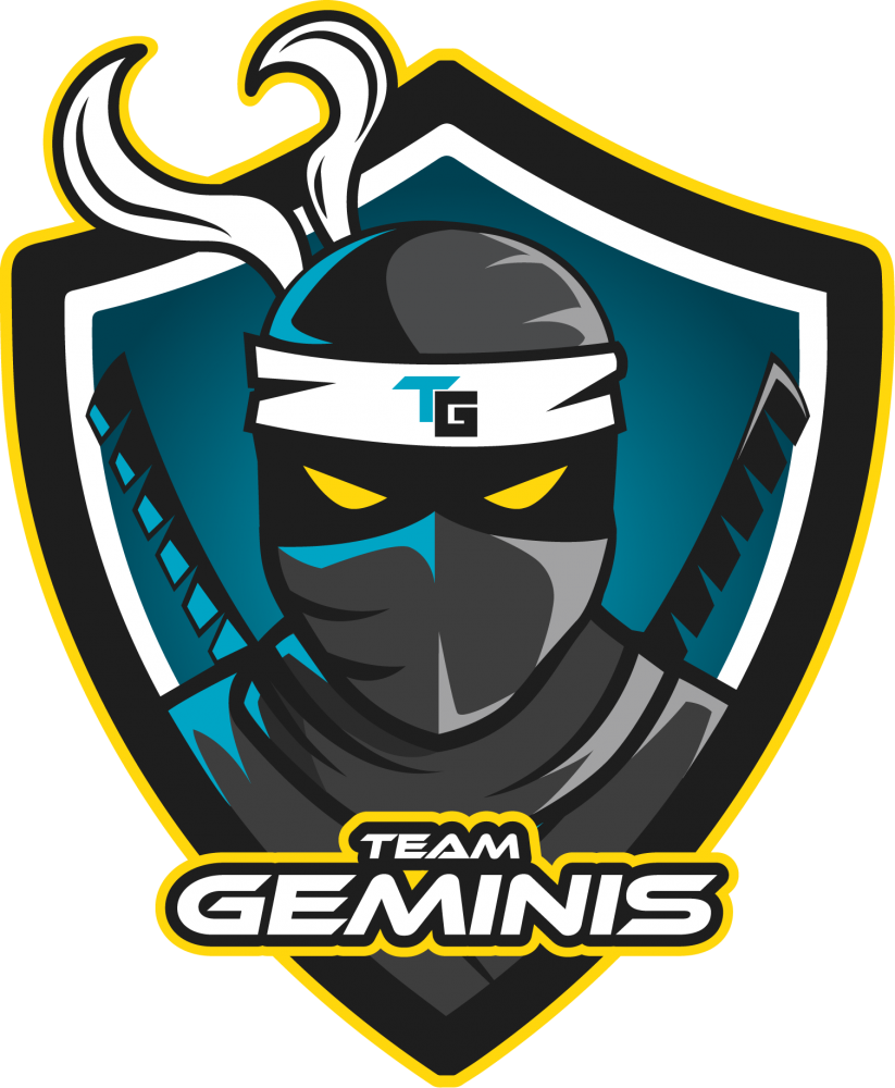 Team Geminis