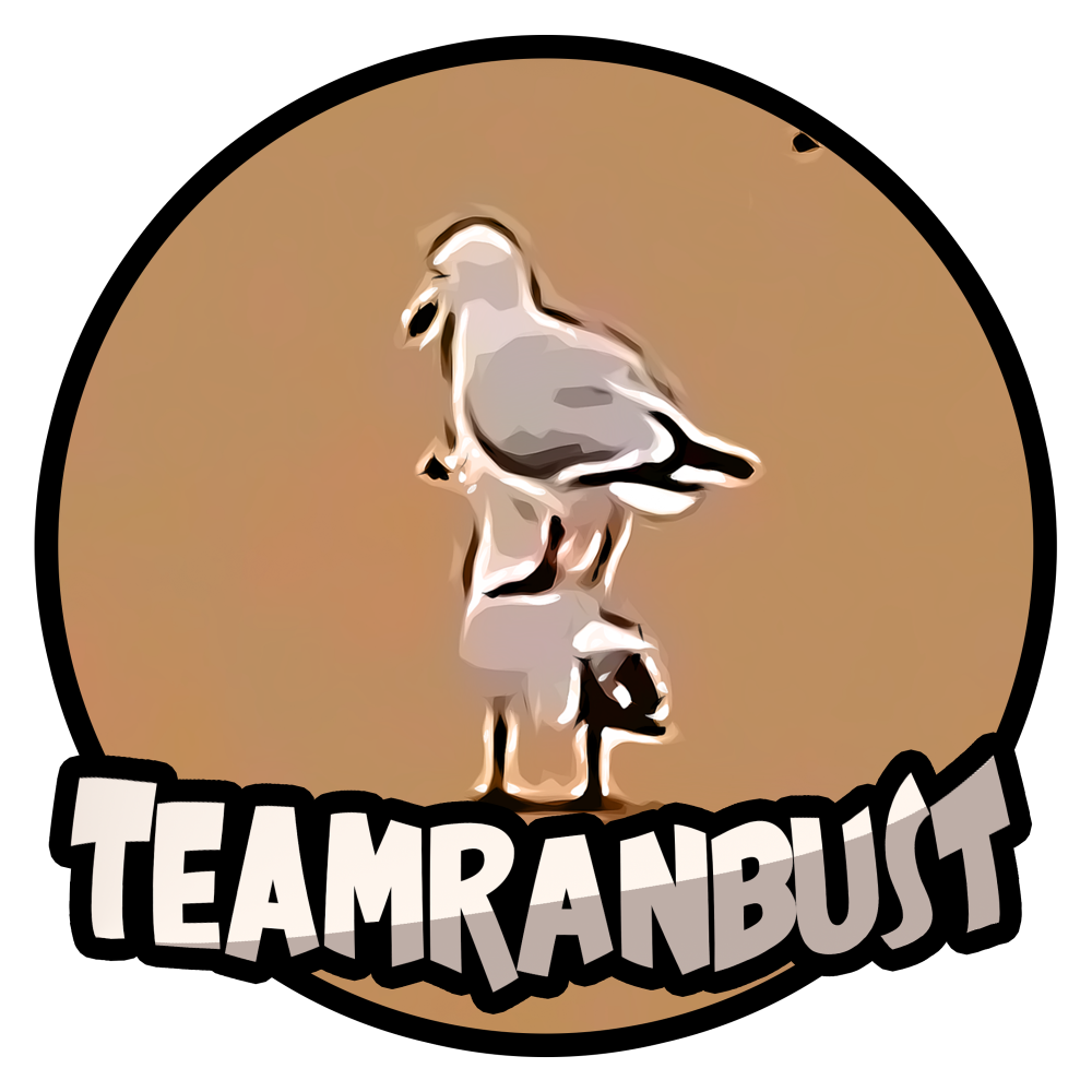 TeamRanBust